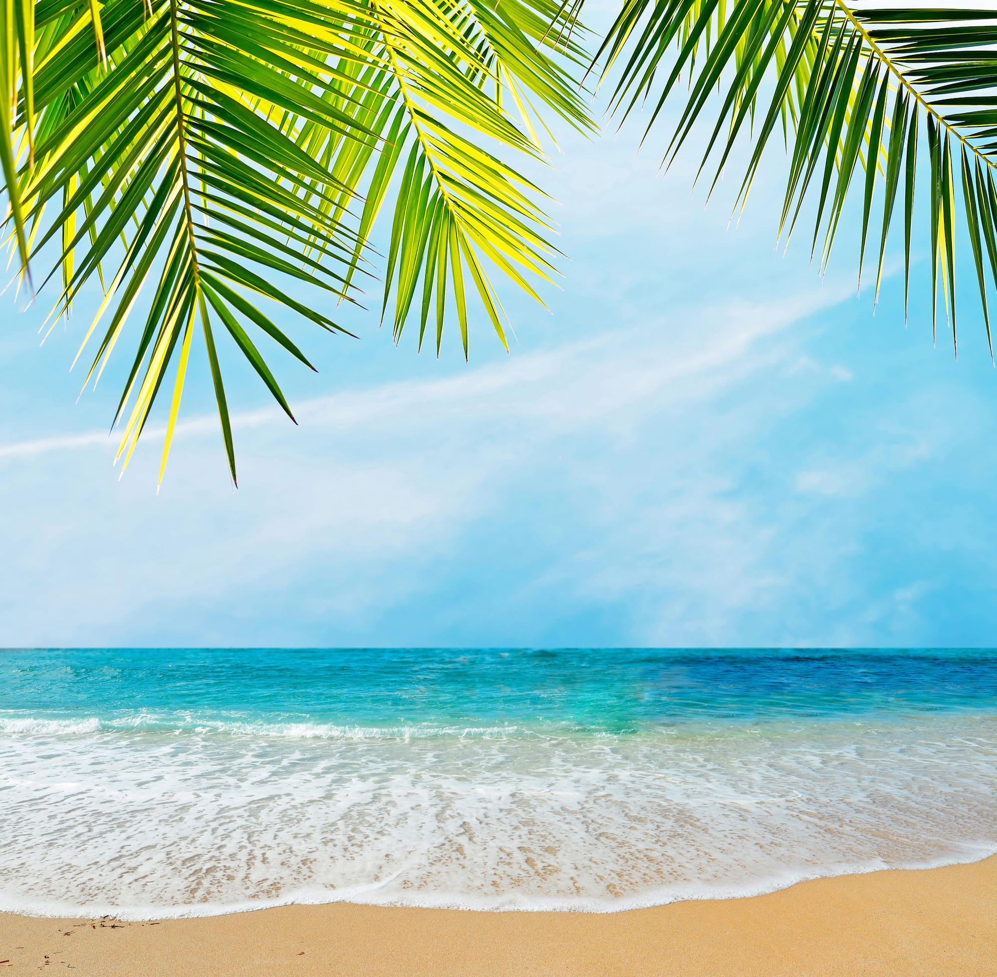 Geschmack nach Sommer und Strand - Esther Sommer Trüffel